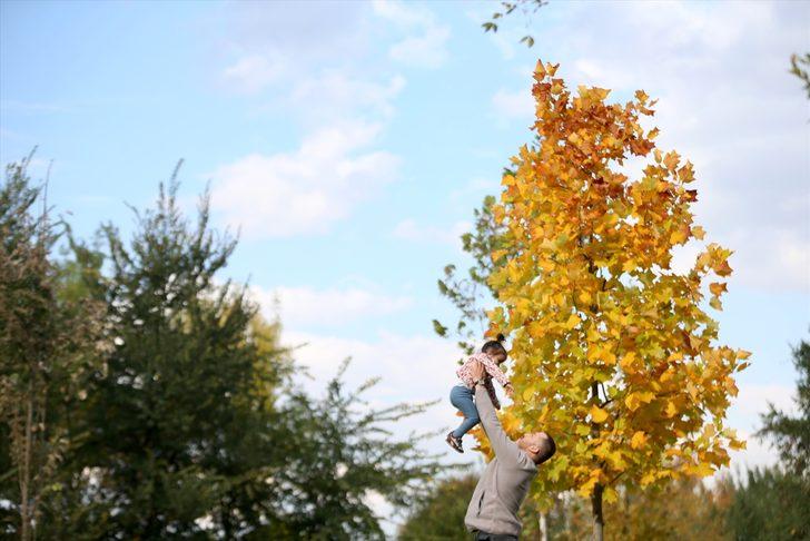 Düzce'deki Aydınpınar Şelalesi Tabiat Parkı'nda sonbahar güzelliği G4