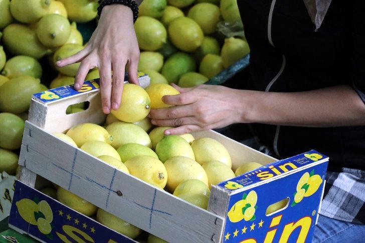 Türkiye'nin 9 aydaki yaş meyve ve sebze ihracatında zirve Rusya'nın G1