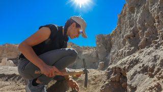 Kaymakam tarihin gün yüzüne çıkarılması için kazılarda gönüllü çalışıyor