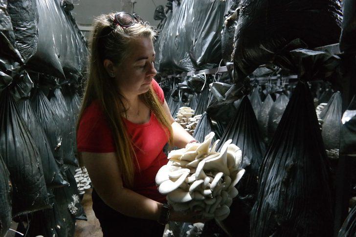 Özel odalarda üretiliyor! Etten 3 kat fazla protein içeriyor G1