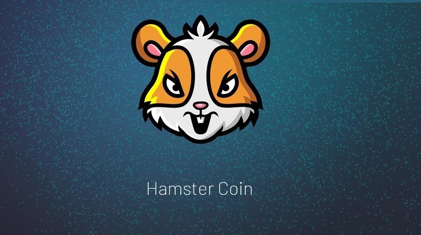 Hamster Coin Binance'da olacak mı? Hamster Coin nerede listelenecek?