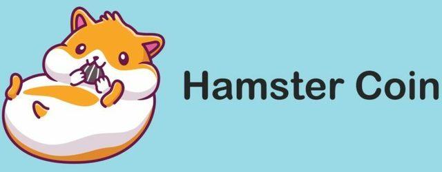 hamster coin binance da olacak mi hamster coin nerede listelenecek finans haberlerinin dogru adresi mynet finans haber