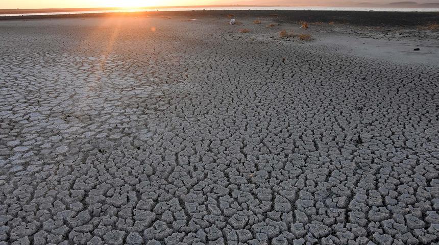 Kuşların önemli konaklama alanlarındandı! Arin Gölü'nde korkutan manzara