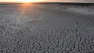 Kuşların önemli konaklama alanlarındandı! Arin Gölü'nde korkutan manzara