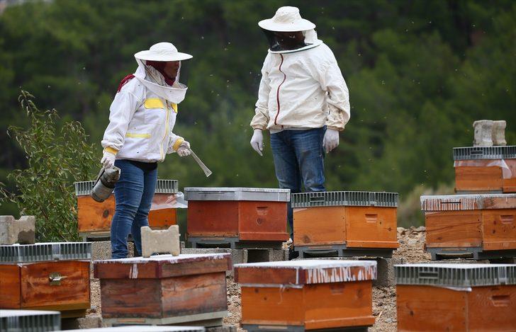 Memurluktan vazgeçip arıcılığa başladı, şimdi 6 kişiye istihdam sağlıyor G2