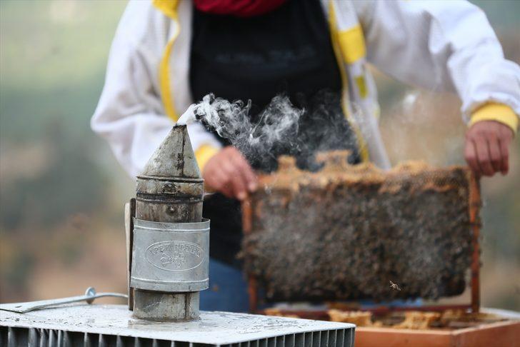 Memurluktan vazgeçip arıcılığa başladı, şimdi 6 kişiye istihdam sağlıyor G4