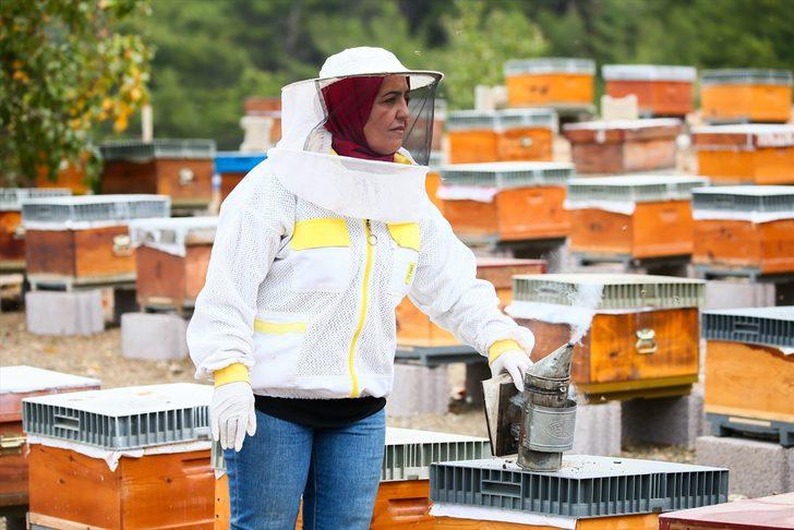 Memurluktan vazgeçip arıcılığa başladı, şimdi 6 kişiye istihdam sağlıyor G5