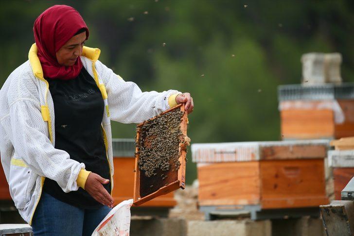 Memurluktan vazgeçip arıcılığa başladı, şimdi 6 kişiye istihdam sağlıyor G1