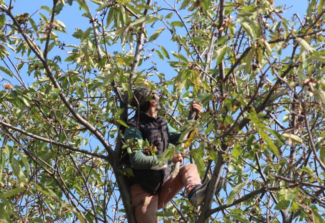 G&uuml;nl&uuml;k 400 TL'ye &ccedil;alışacak eleman bulamıyorlar: Korkutucu ve yorucu bir iş