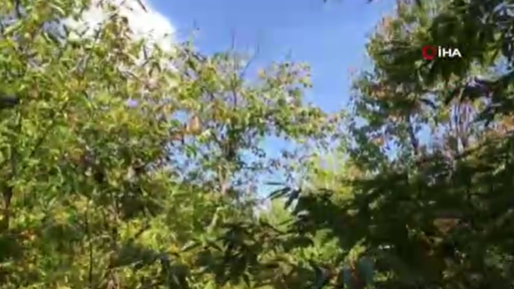 Günlük 400 TL'ye çalışacak eleman bulamıyorlar: Korkutucu ve yorucu bir iş G1