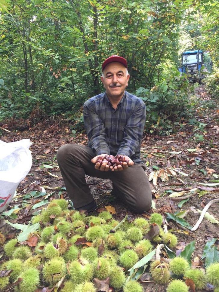 Günlük 400 TL'ye çalışacak eleman bulamıyorlar: Korkutucu ve yorucu bir iş G3