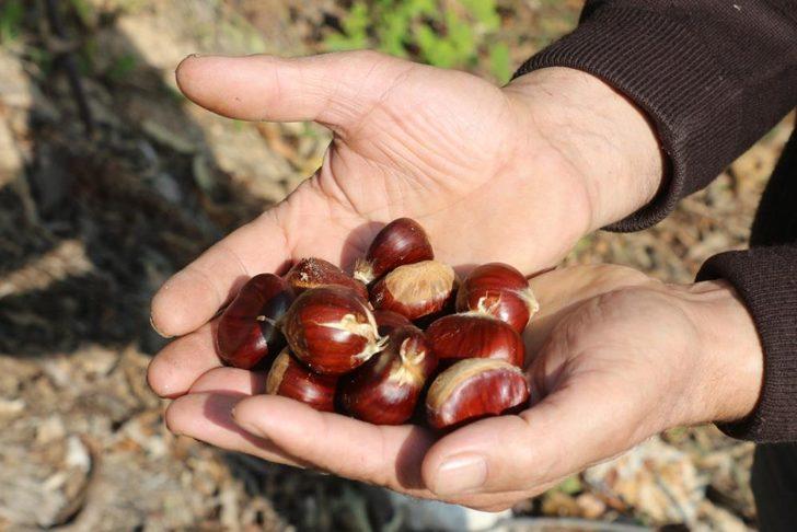 Günlük 400 TL'ye çalışacak eleman bulamıyorlar: Korkutucu ve yorucu bir iş G5
