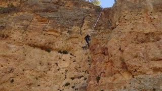 Cumhurbaşkanı Erdoğan için 150 metre tırmanıp bal topladı