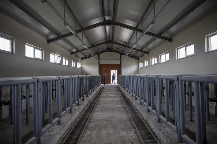 Erzurum'da 10 dönüm alana kurulan canlı hayvan pazarı açıldı G2