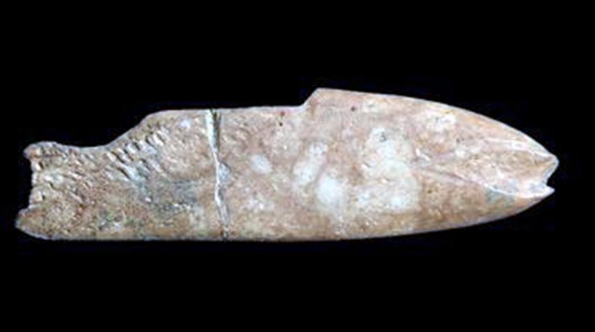 İzmir'de 8 bin yıl öncesine ait balık figürlü alet bulundu