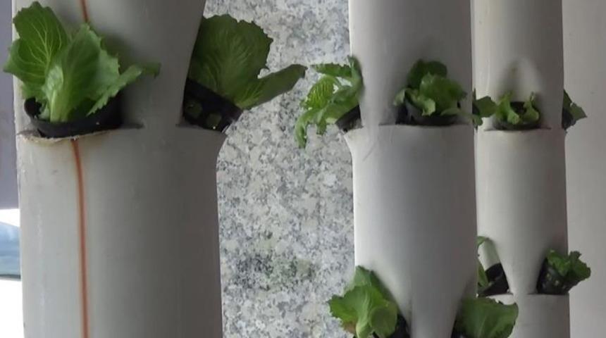 Çiğ köfteciden artan maliyetlere ilginç çözüm! Gören dekor sanıyor