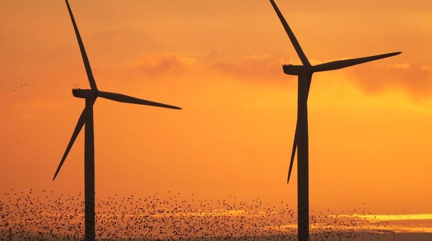 İngiltere, sera gazı emisyonunu azaltma planında atılacak adımları açıkladı