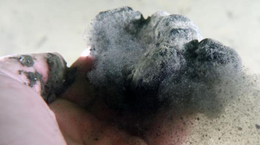 Marmara'yı bekleyen tehlike: Müsilaj yine kapıda!