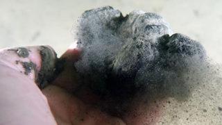 Marmara'yı bekleyen tehlike: Müsilaj yine kapıda!