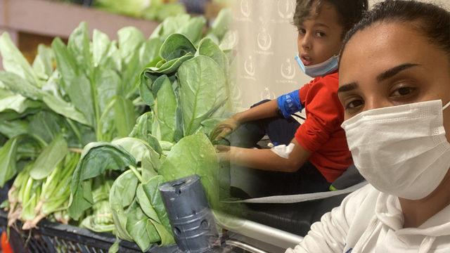 Pazardan aldığı ıspanağı yedi, güzelavrat otundan zehirlendi: Korkunç süreçti