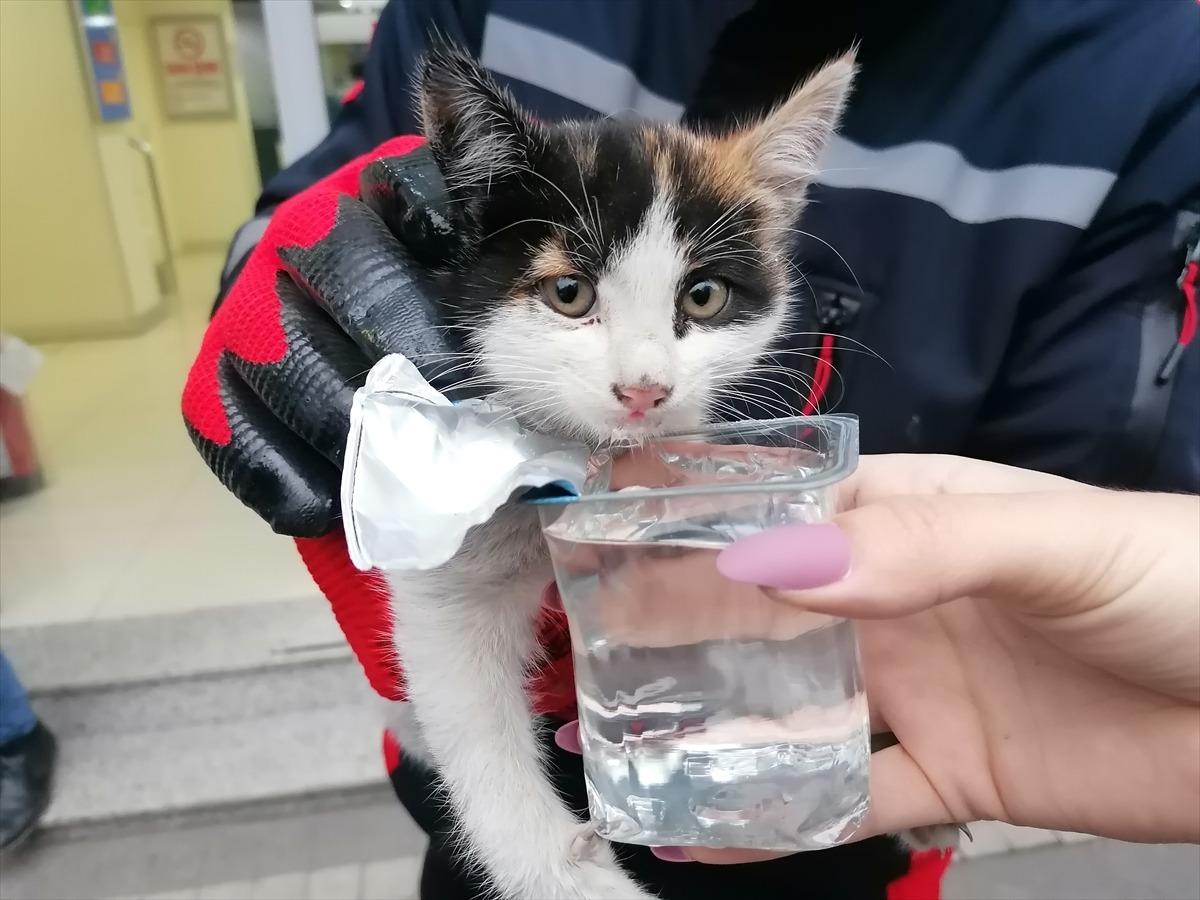 Tokat'ta mermer basamağın altında mahsur kalan kediyi itfaiye kurtardı