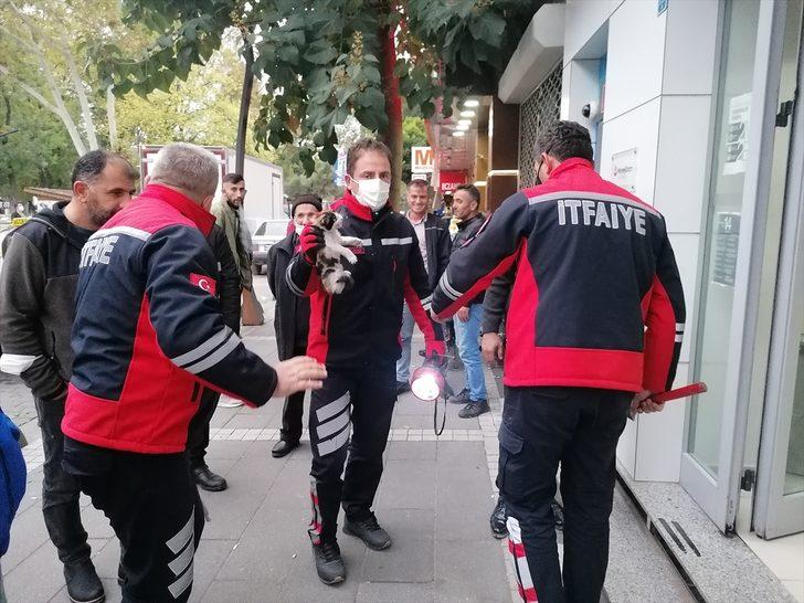 Tokat'ta mermer basamağın altında mahsur kalan kediyi itfaiye kurtardı G2
