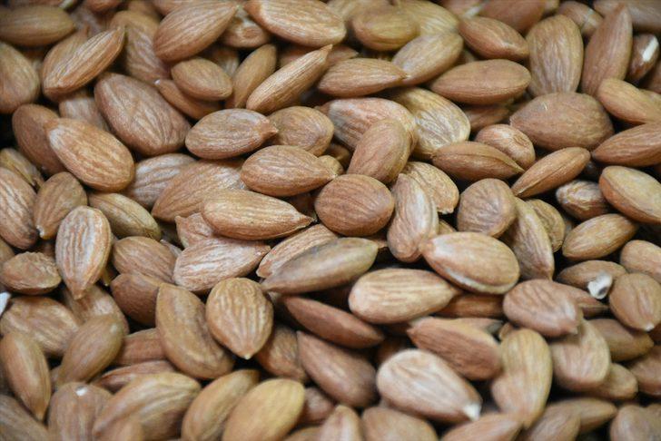 Tescilli kayısı çekirdeği ihracatında 4,2 milyon dolarlık artış G2