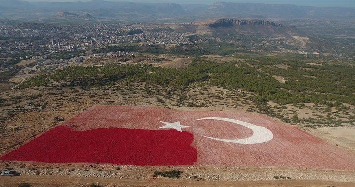 Mersin'de 22 dönümlük araziye işlenen Türk bayrağı esnafın desteğiyle boyanıyor G2