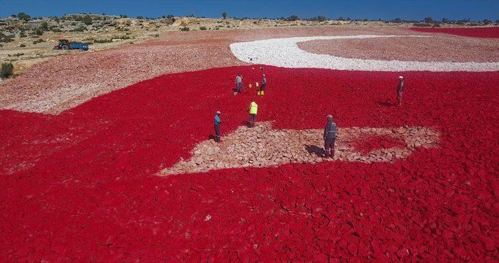 Mersin'de 22 dönümlük araziye işlenen Türk bayrağı esnafın desteğiyle boyanıyor G4