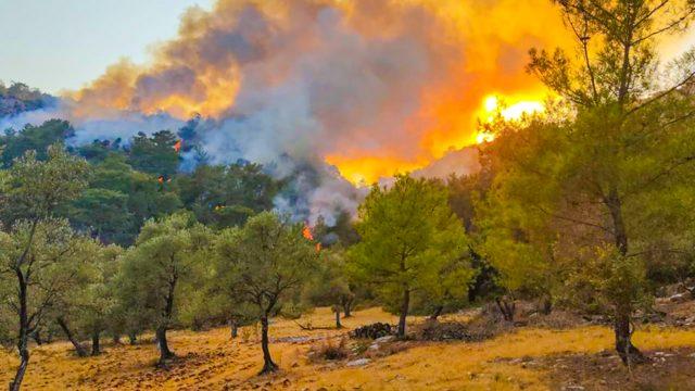 Köyceğiz’deki orman yangınında yaşadıklarını anlattı! “Bir yangının külünden doğup geçtim”