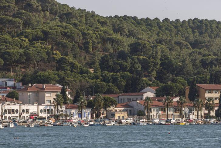 Türkiye'nin en zeki illeri açıklandı! Bakın hangi iller listeye girdi! G3