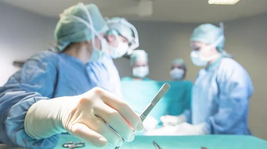 Domuz böbreği insana nakledildi! Organ naklinde çığır açacak gelişme