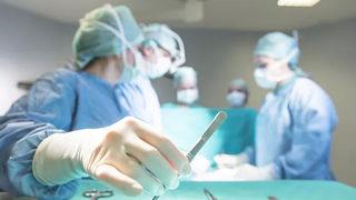 Domuz böbreği insana nakledildi! Organ naklinde çığır açacak gelişme