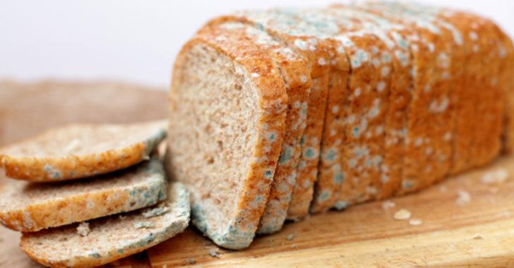 Çöpe atmaya son! Ekmek ve peynirin küflenmesini önlemenin yolları