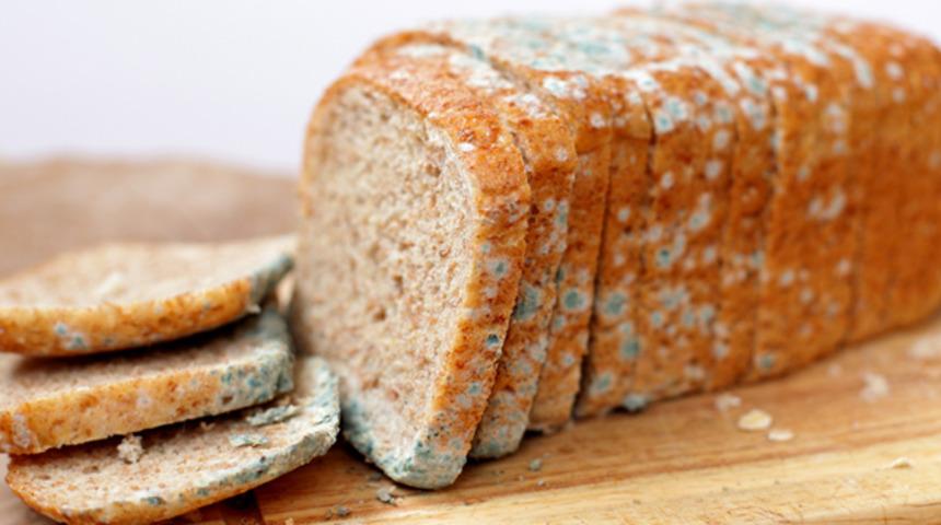 Çöpe atmaya son! Ekmek ve peynirin küflenmesini önlemenin yolları
