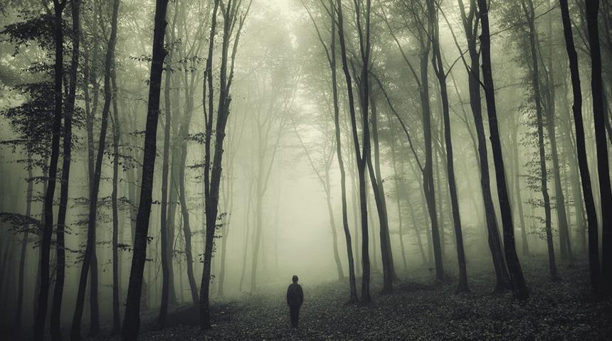 Hayaletler gerçek mi? Bilim insanları merak edilen soruya cevap buldu