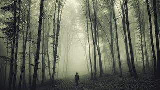 Hayaletler gerçek mi? Bilim insanları merak edilen soruya cevap buldu