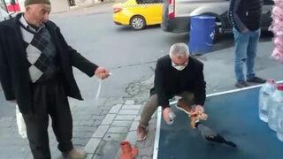 Esenyurt'ta gülümseten anlar! Bir vatandaş kargayı elleriyle besledi