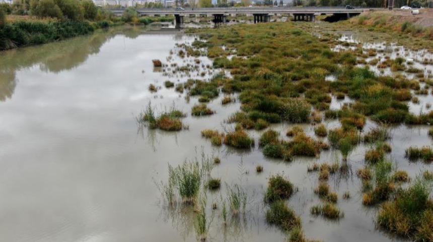  Kızılırmak alarm veriyor! Türkiye’nin en uzun nehri otlağa döndü! 