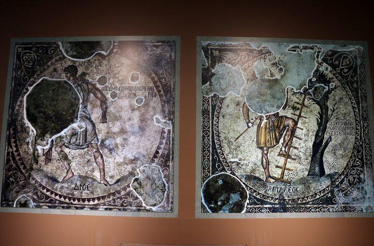 Hatay'daki "Bağ Bozumu Mozaiği" görücüye çıkmaya hazır G3