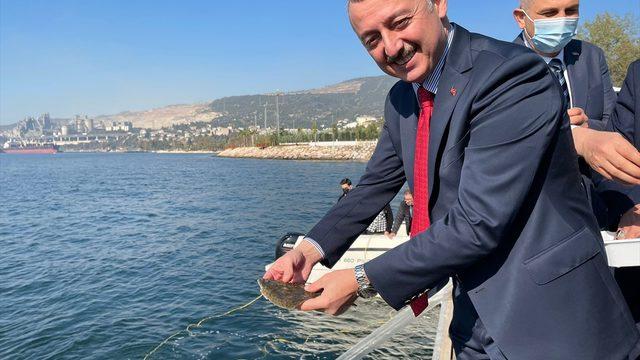 İzmit Körfezi'ne 6 bin çipura, levrek ve kalkan bırakıldı