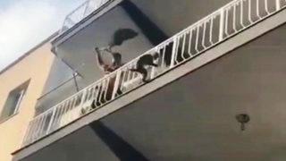 Aydın'da evden kaçan maymun büyük korku yaşattı! Sahibi balıkçı ağıyla yakaladı