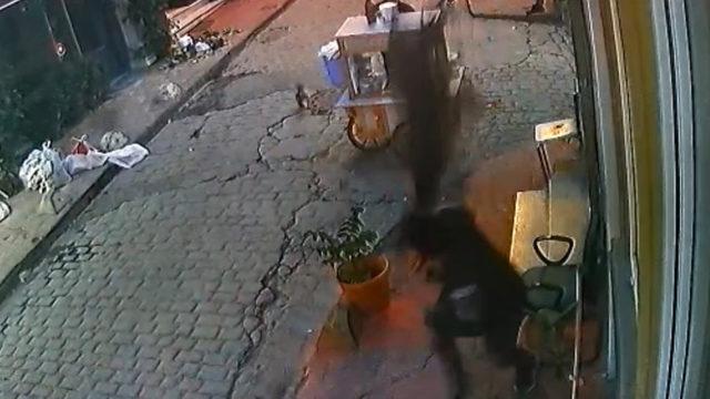 Beyoğlu'nda otele gittiği kadının telefonlarını çalıp, pencereden atlamak isterken düştü