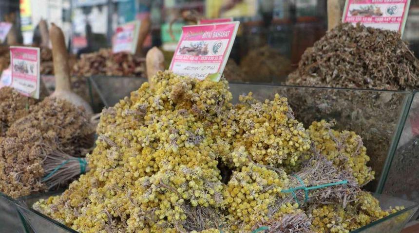 Sonbahar geldi, alerjik hastalıklar çoğaldı! Bitki çaylarına rağbet arttı