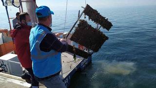 Denizden çıkartıldı! Görenleri şaşkına çevirdi