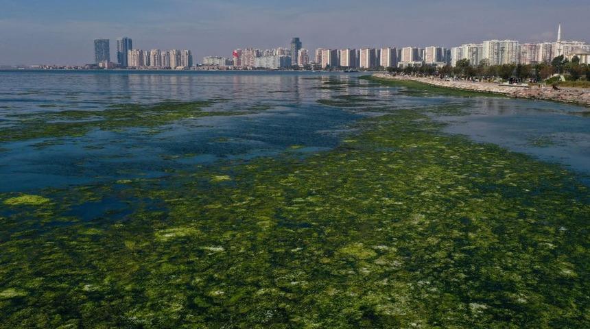 Çevre ve Şehircilik Bakan Yardımcısı Mehmet Emin Birpınar: Türkiye'nin çevre konusunda AB standartlarına gelmesi için 80 milyar avroya ihtiyacı var
