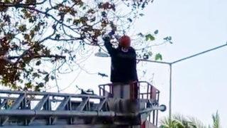 Can havliyle çırpınırken fark edildi! Kurtarmak için seferber oldular