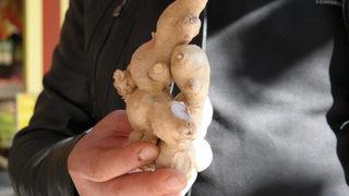 Baharatın altını zencefil! Kilosu 70 TL: Dövizdeki artıştan dolayı arttı