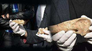 Antik yerleşimde tarihi buluş! İzmir'in bilinmeyen gerçeği ortaya çıkarıldı