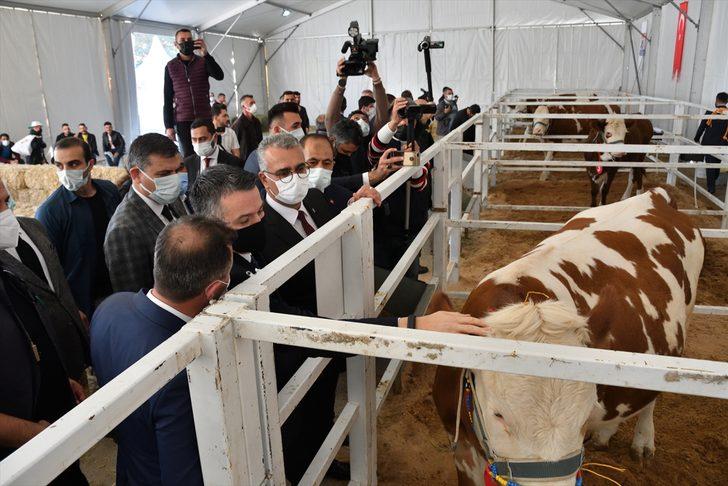 Tarım ve Orman Bakanı Pakdemirli, Çorum Tarım ve Hayvancılık fuarının açılışına katıldı: G2